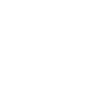 Sesión 17, 29 de Marzo del 2025